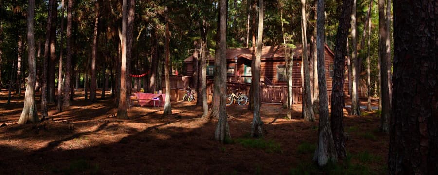 Disney's Fort Wilderness Resort & Campground - Photo 1