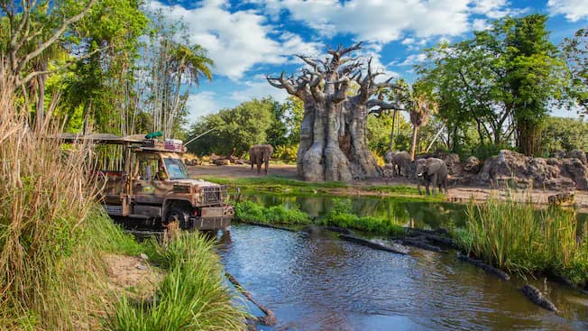 Kilimanjaro Safaris - Photo officielle Walt Disney World
